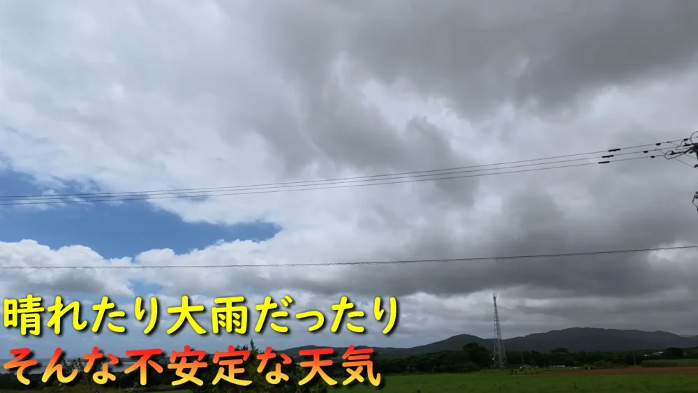 今日の天気(晴れ大雨)
